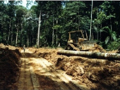 Abholzung Amazonas-Regenwald - Foto: Klemens Laschefski - Creative-Commons-Lizenz Namensnennung Nicht-Kommerziell 3.0