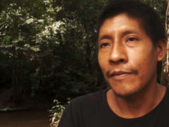 Ein Angehriger des Aw-Volks im Urwald des Amazonas