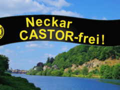 Neckar CASTOR-frei - Collage: Samy - Creative-Commons-Lizenz Namensnennung Nicht-Kommerziell 3.0