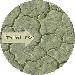 globalisiertes Netzwerk