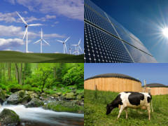 Erneuerbare Energien - Grafik: Samy