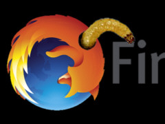 Loch im Firefox - Collage: Samy - Creative-Commons-Lizenz Namensnennung Nicht-Kommerziell 3.0