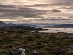 Kvanefjeld, Grönland - Foto: Uranium Network - Creative-Commons-Lizenz Namensnennung Nicht-Kommerziell 3.0