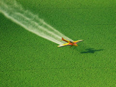 Pestizide per Flugzeug - Collage: Samy - Creative-Commons-Lizenz Nicht-Kommerziell 3.0