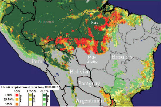 Regenwaldvernichtung Sdamerika nach Satelliten-Fotos