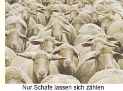 Nur Schafe lassen sich zählen