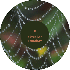 Perlen im Netzwerk