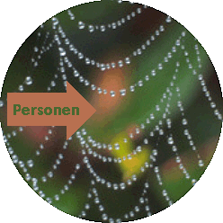 Perlen im Netzwerk