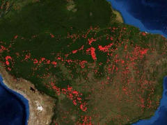 Brände im Amazonas-Regenwald, August 2019 - Grafik: NASA - gemeinfrei