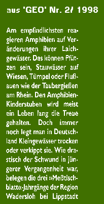 Titel: Schwund der Kleingewsser 3