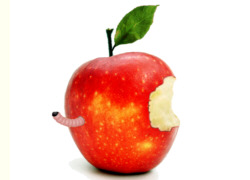 Apfel mit Made