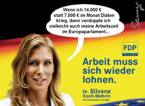 Koch-Mehrin und Arbeit