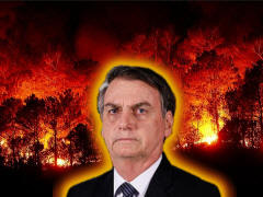 Bolsonaro und der brennende Amazonas-Urwald - Grafik: Samy - Creative-Commons-Lizenz Namensnennung Nicht-Kommerziell 3.0