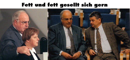 Fett und fett gesellt sich gern - Collage: Samy - Creative-Commons-Lizenz Namensnennung Nicht-Kommerziell 3.0