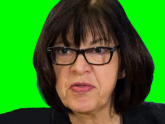 Die pseudo-grne Rebecca Harms