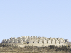 Jdische Siedlung im Westjordanland - Foto: Ariel Davidsohn