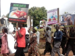 March against Monsanto, Ghana, 2015 - Foto: Food Sovereignty Ghana