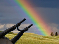 Den Regenbogen umpolen - Grafik: Samy - Creative-Commons-Lizenz Nicht-Kommerziell 3.0