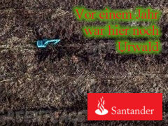 Santander und Urwald-Zerstörung