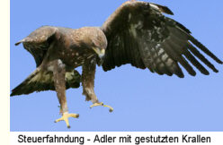 Steuerfahndung - Adler mit gestutzten Krallen