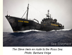 Steve Irwin, ein Schiff von Sea Shepherd