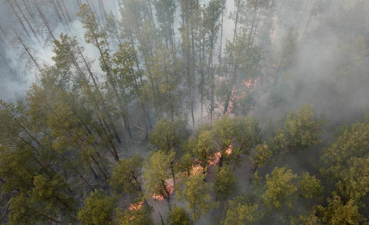 Brand im Tschernobyl-Wald - Foto: Europische Weltraumorganisation (ESA) - Lizenz: gemeinfrei