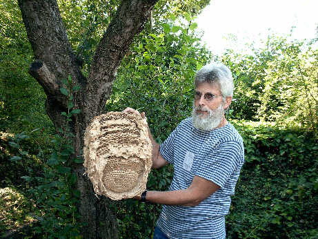 Lothar Krikowski mit einem Hornissen-Nest